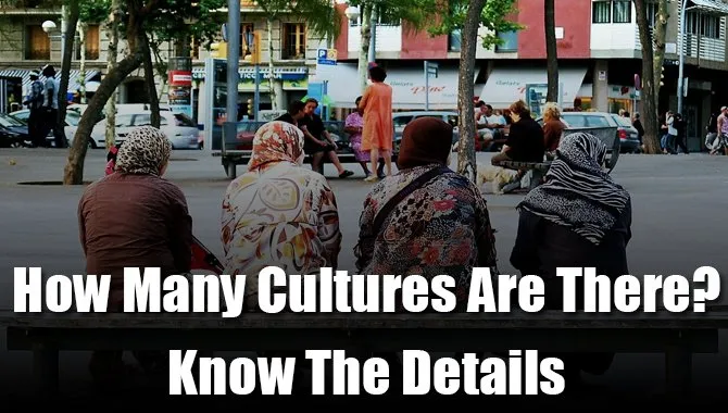 How Many Cultures Are There? Know The Details