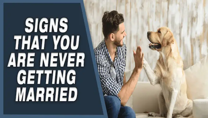 Signs That You Are Never Getting Married