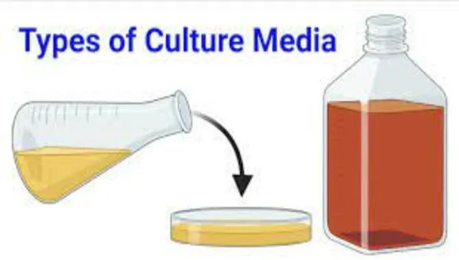 Types of culture media with examples