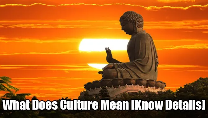 What Does Culture Mean