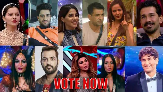 Vote For Bigg Boss 14 From The USA