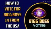 How To Vote For Bigg Boss 14 From The USA