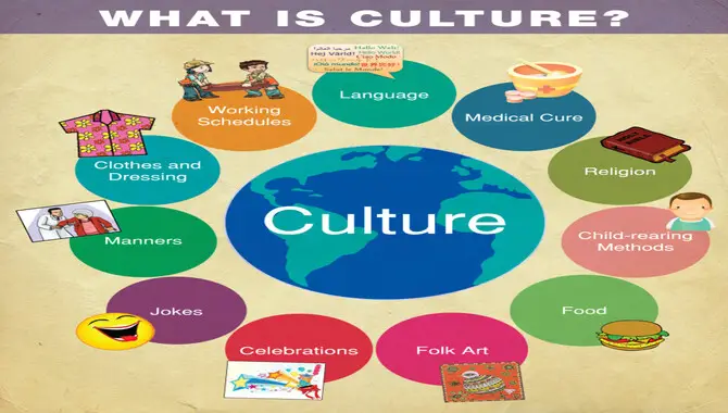 What Is Culture