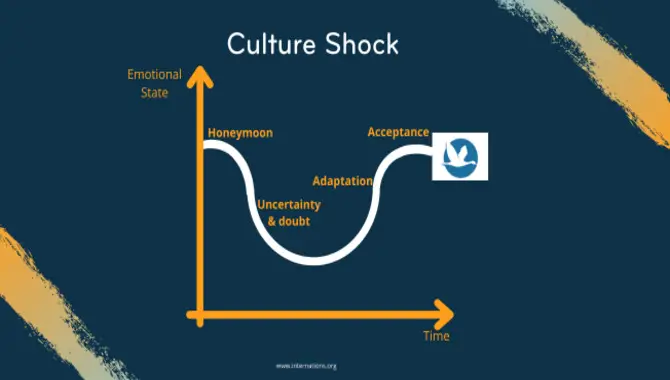 What Is Culture Shock