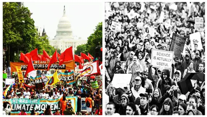 Contributions Of The Environmental Movement To American Society