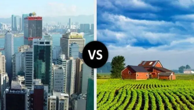 Country Vs. City- The Relationship Between Environment And Identity A Historical Perspective