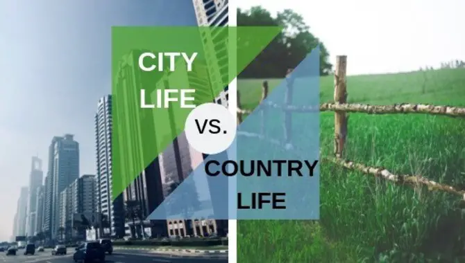 Explaining The Impact On Family Dynamics Based On Country Vs. City
