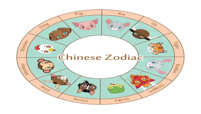 The 12 Earthly Branches Of The Chinese Zodiac