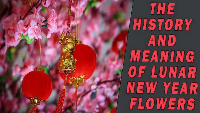 The History And Meaning Of Lunar New Year Flowers