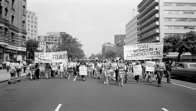 The History Of The Feminist Movement In America