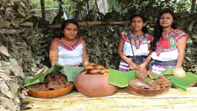 The Influence Of Indigenous Cultures In Modern Mexico