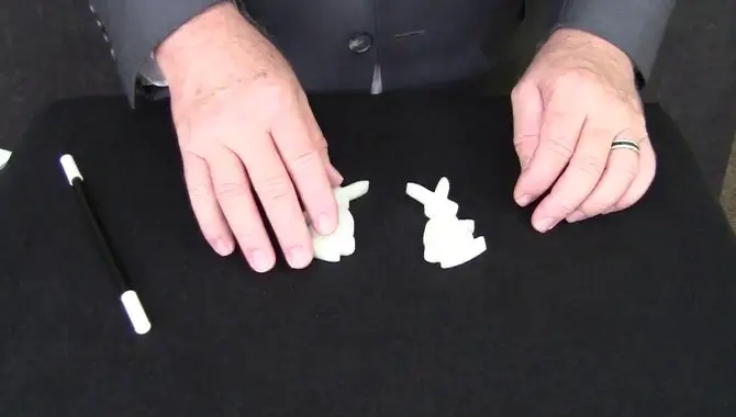 How To Do Magic Tricks With A Rabbit
