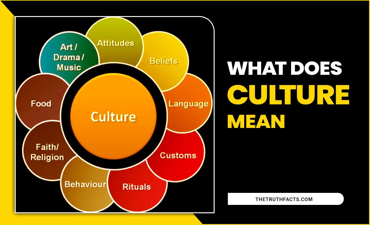 What Does Culture Mean