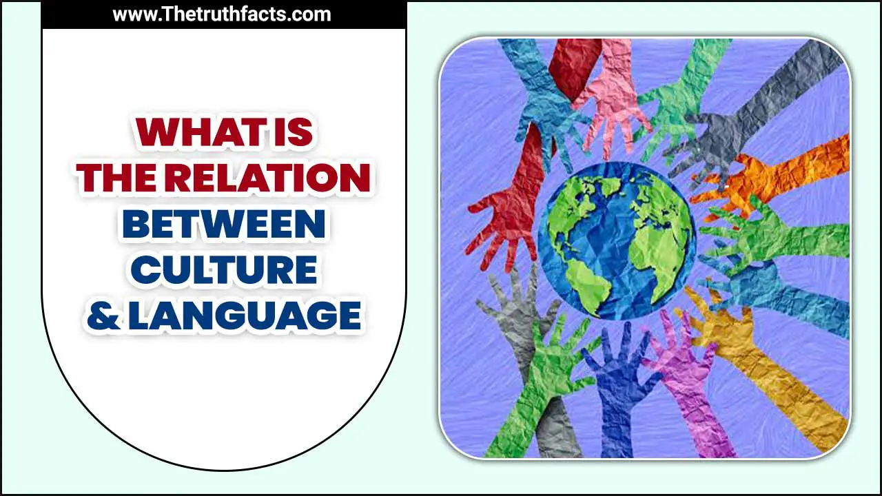 Relation Between Culture & Language