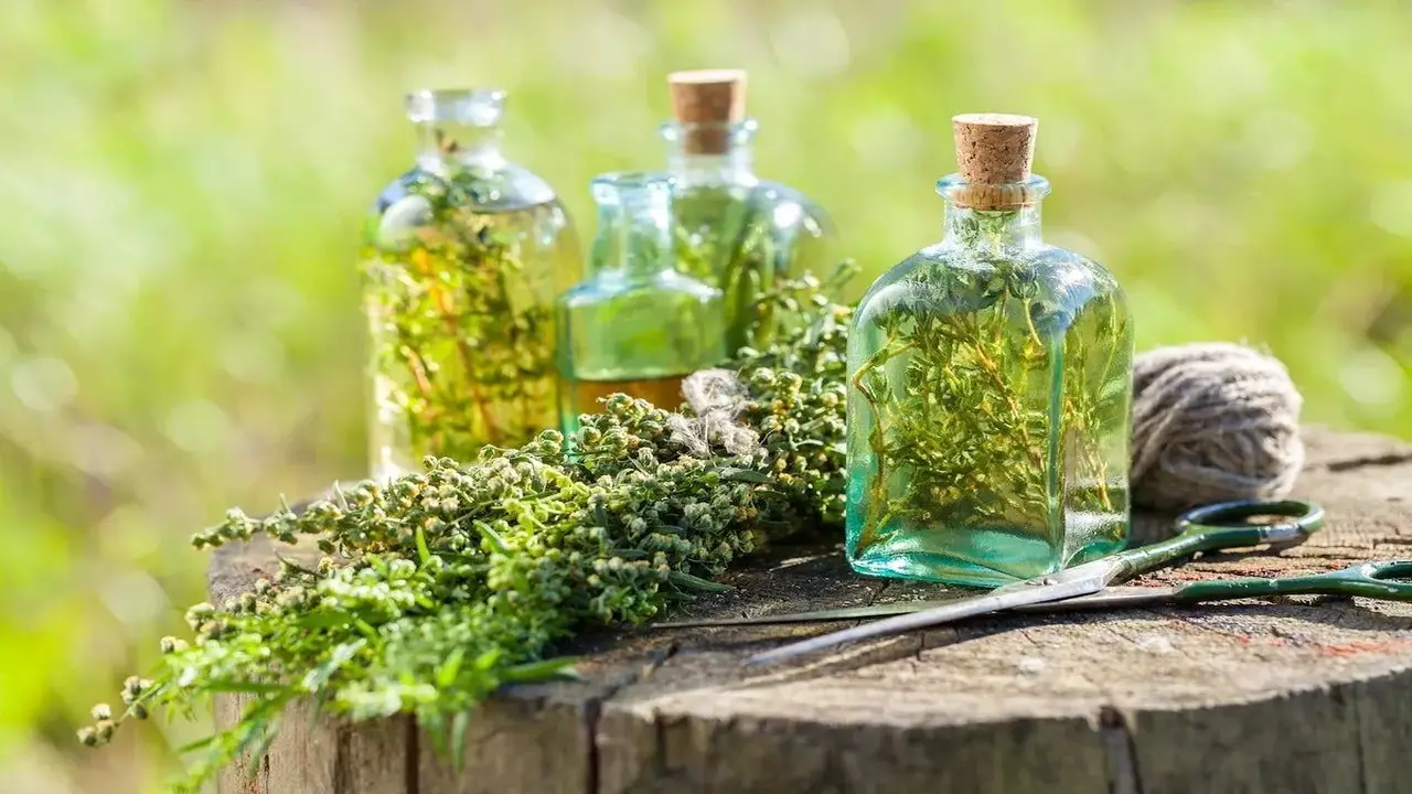 5 Easy DIY Methods To Make Freshly Picked Herb Infused Oils