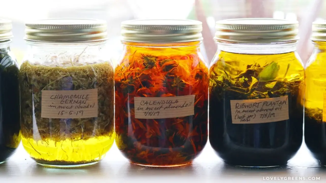 Benefits Of Making Freshly Picked Herb-Infused Oils