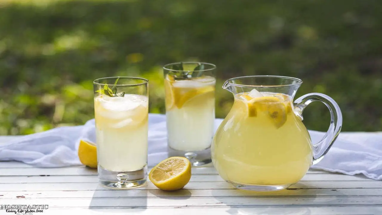 Description Of Freshly Squeezed Lemonades And Fruitades