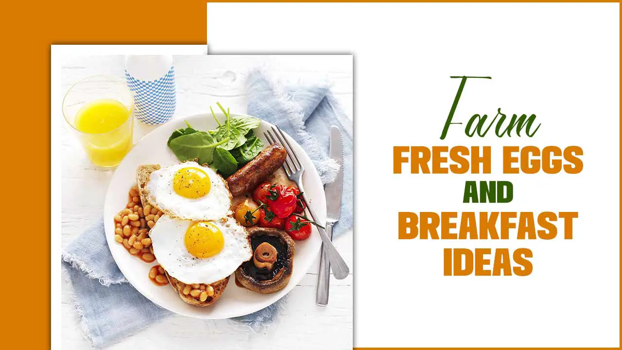 Farm-Fresh Eggs And Breakfast Ideas