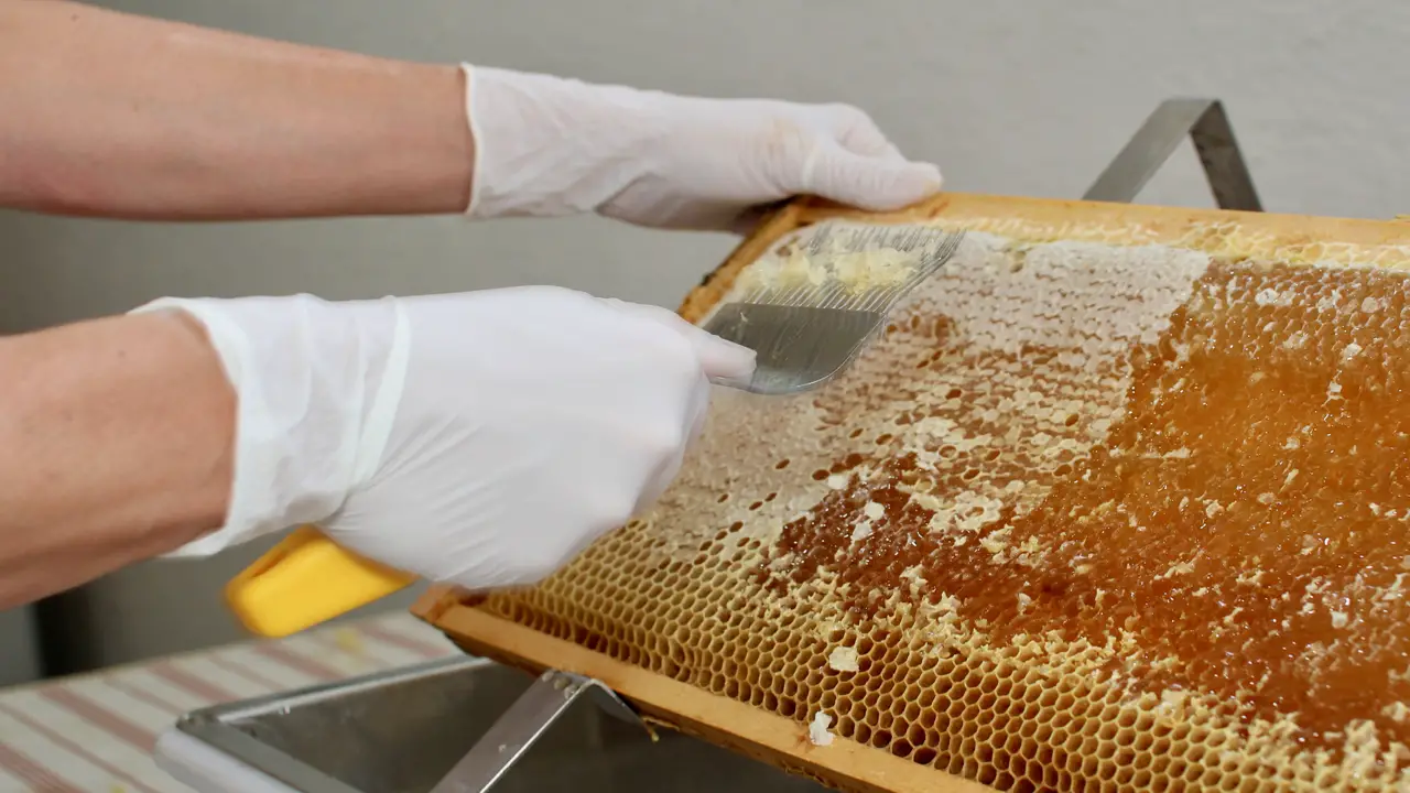 Filter The Honey Before Bottling