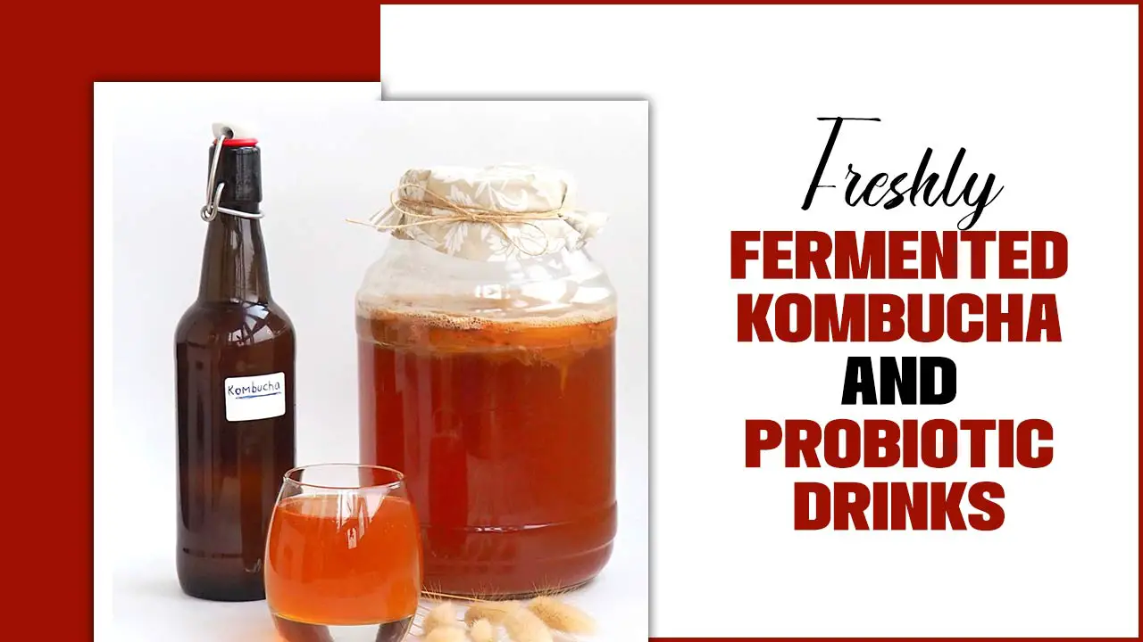 Freshly Fermented Kombucha And Probiotic Drinks