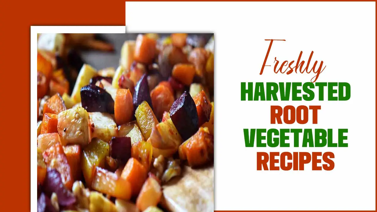 Freshly Harvested Root Vegetable Recipes