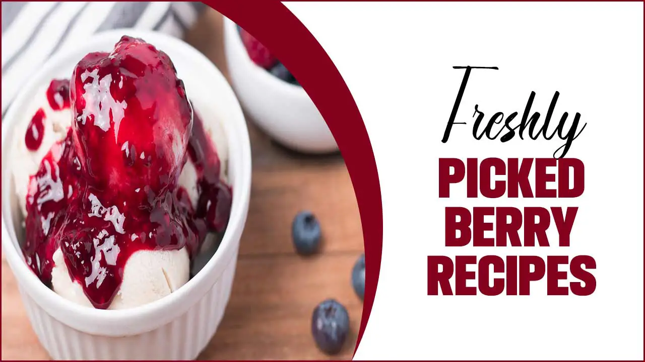 Freshly Picked Berry Recipes