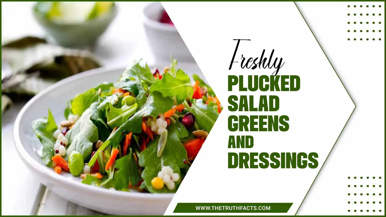 Freshly Plucked Salad Greens And Dressings