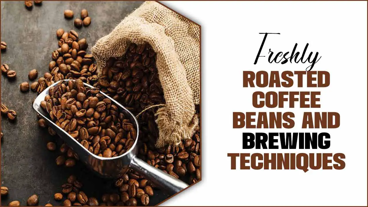 Freshly Roasted Coffee Beans And Brewing Techniques