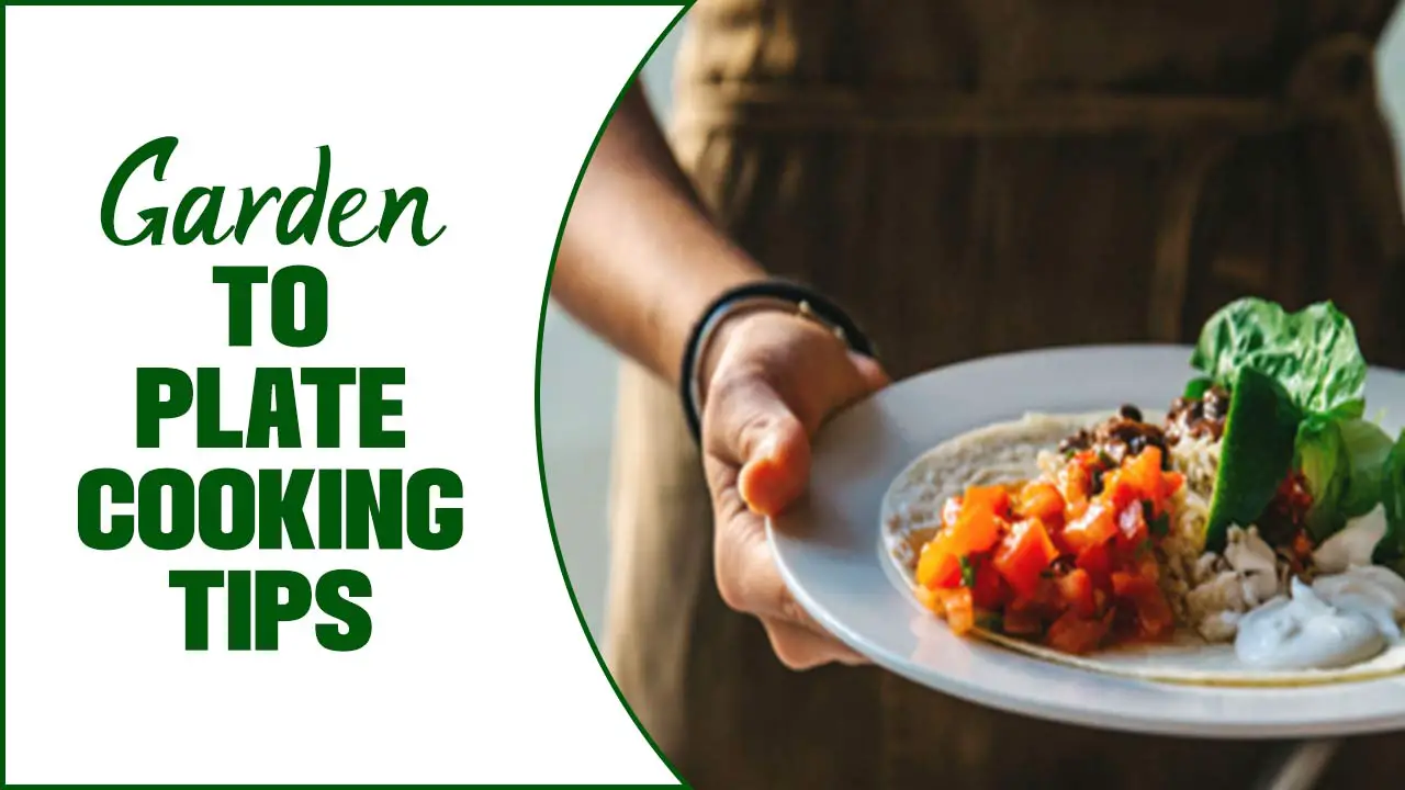 Garden-To-Plate Cooking Tips