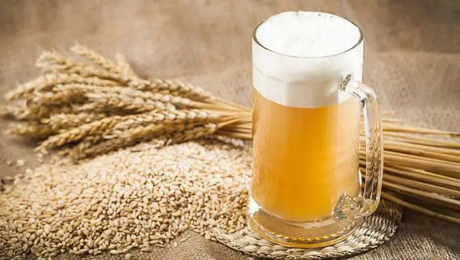 How To Brew Traditional Belgian Witbier Recipe At Home