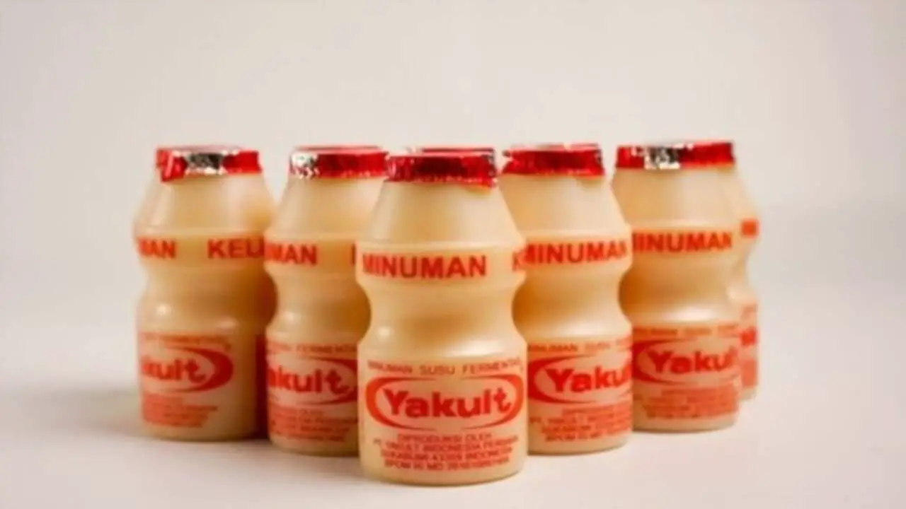 How To Ferment Traditional Japanese Yakult Exploring The Recipe