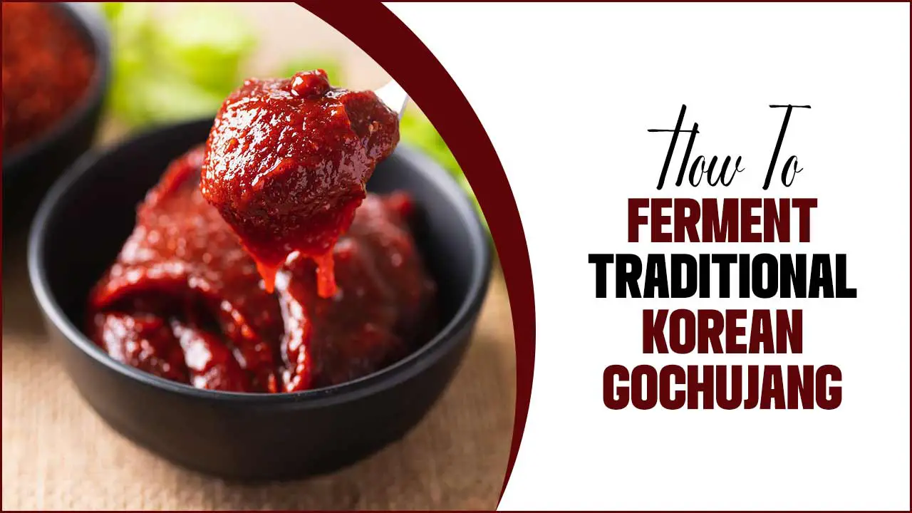 How To Ferment Traditional Korean Gochujang