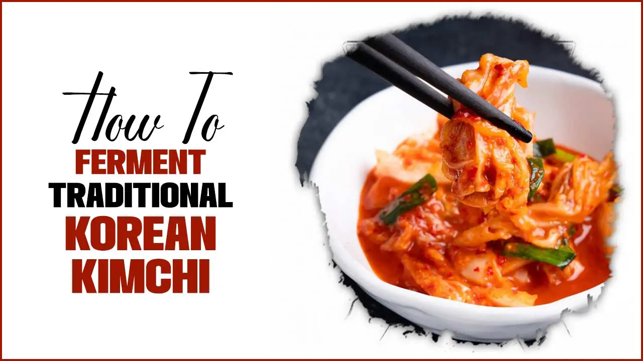 How To Ferment Traditional Korean Kimchi