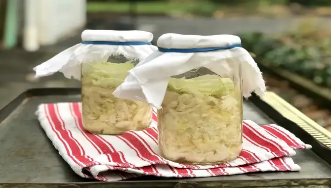 How To Ferment Traditional Sauerkraut Homemade Sauerkraut Recipe