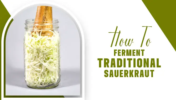 How To Ferment Traditional Sauerkraut