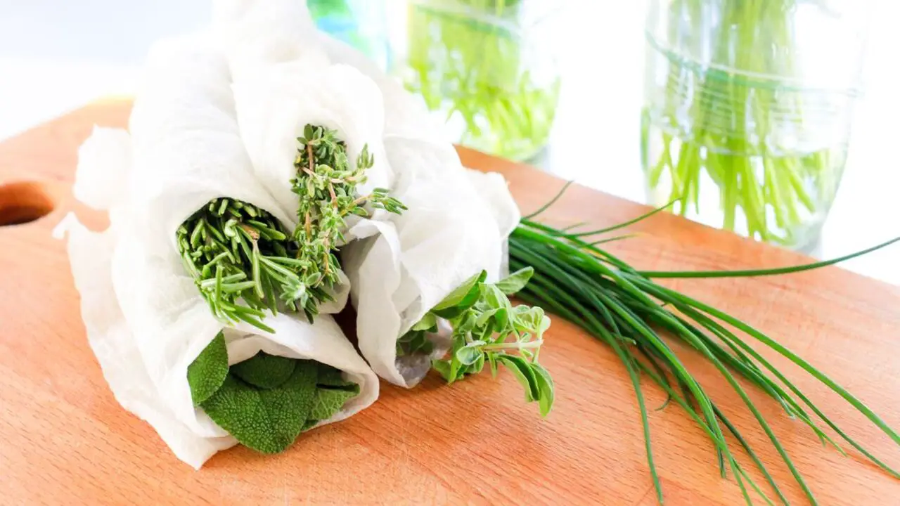 How To Harvest And Store Fresh Herbs And Seasonings