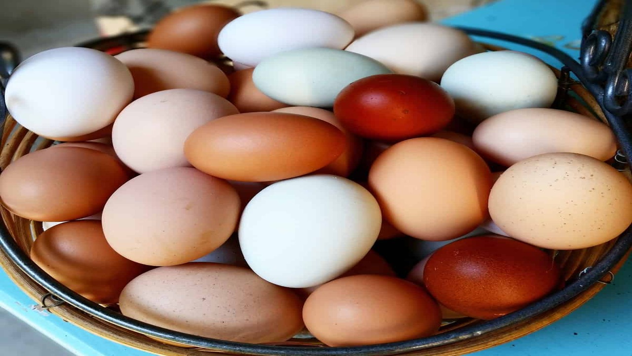 How To Purchase Farm-Fresh Eggs