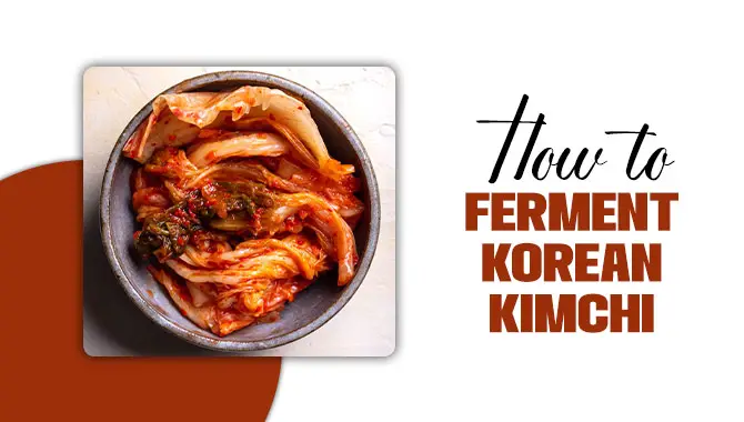 How To Ferment Korean Kimchi