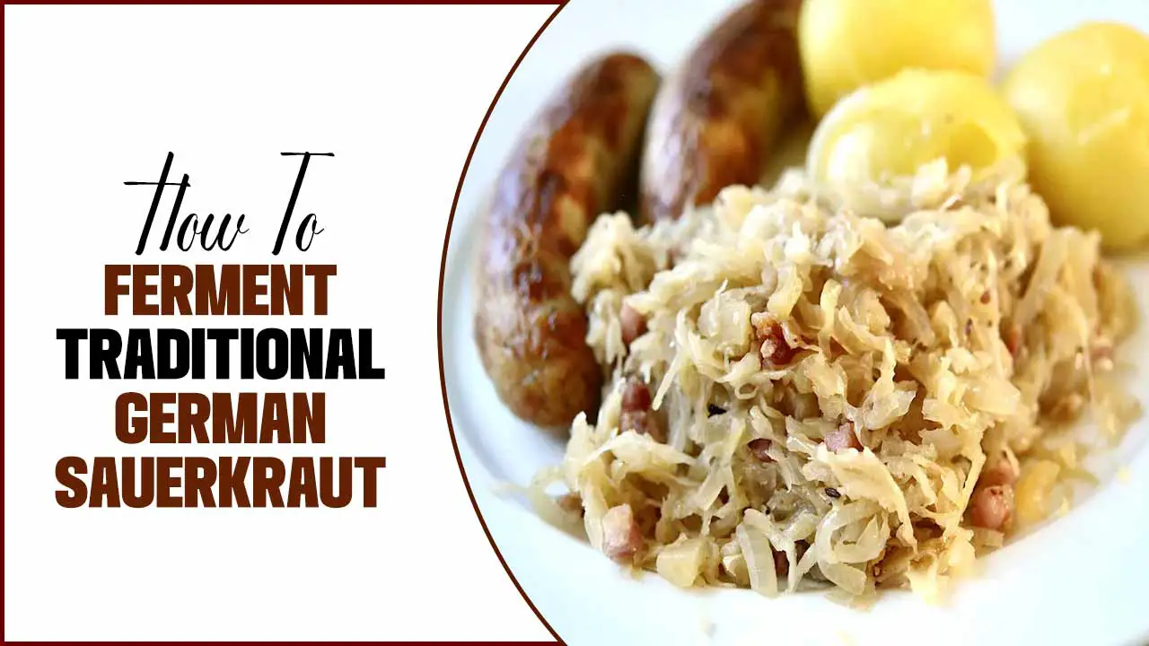 How To Ferment Traditional German Sauerkraut: A Guide