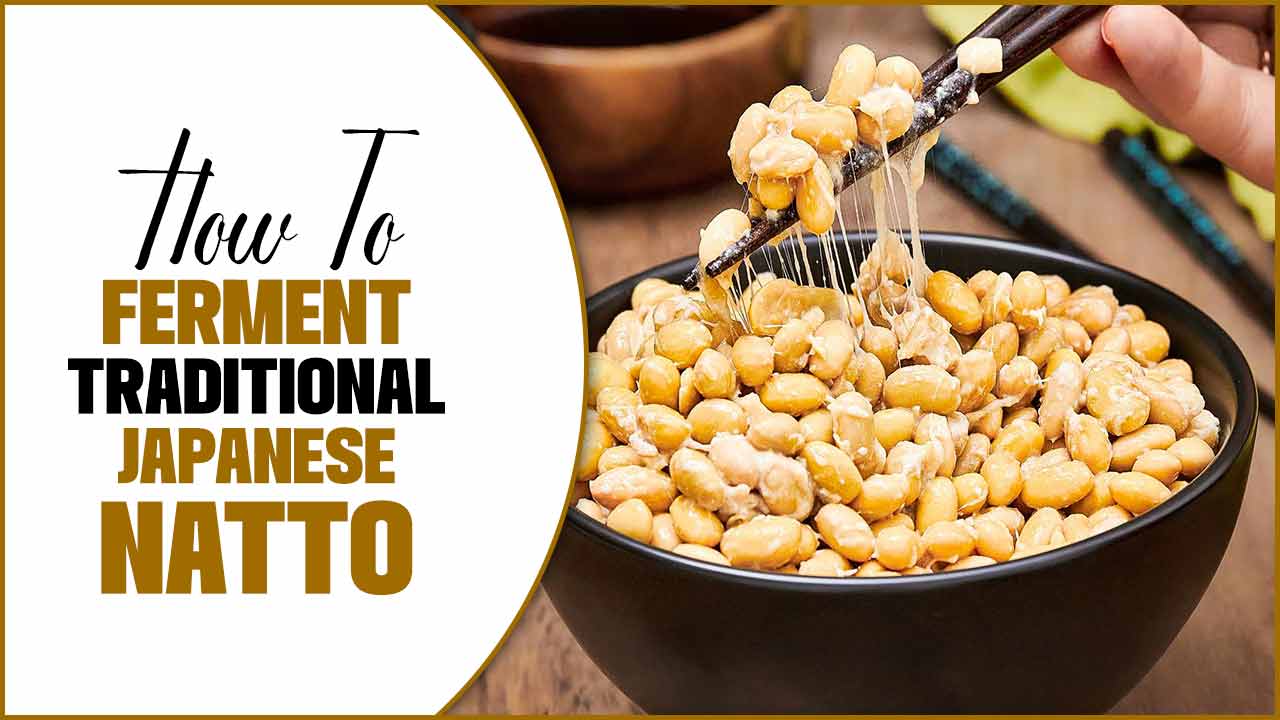 How To Ferment Traditional Japanese Natto