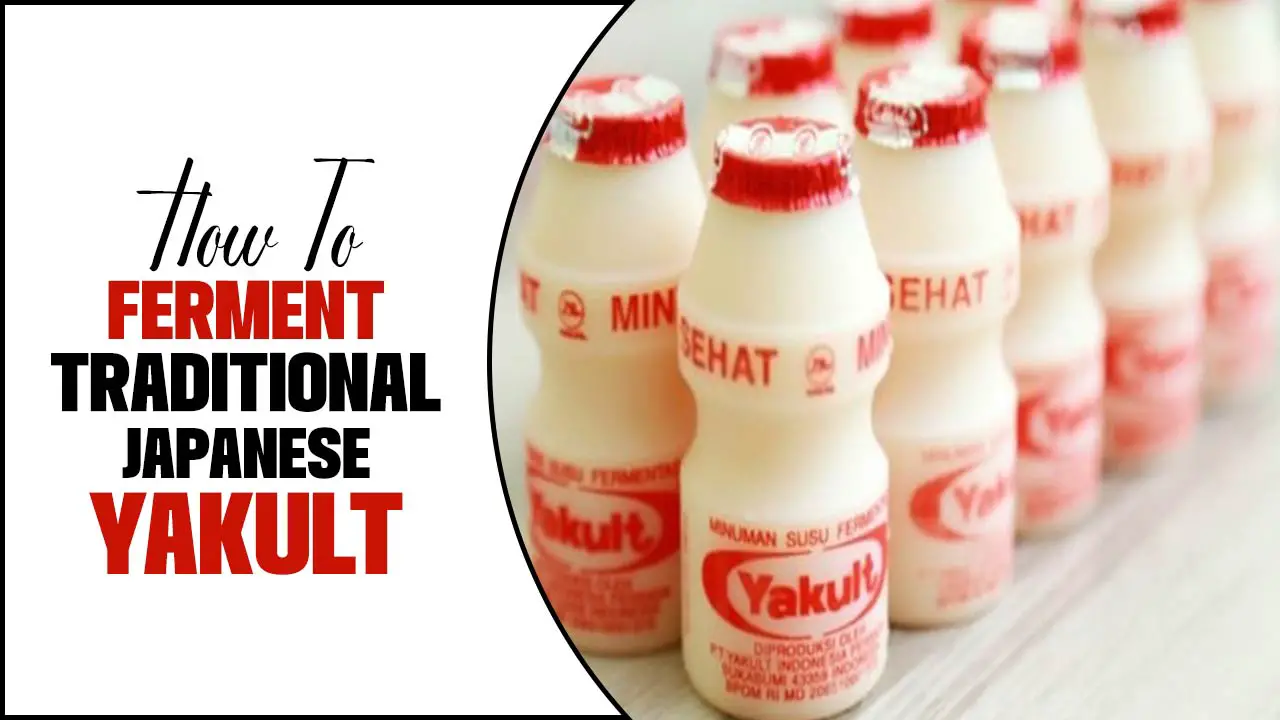 How to Ferment Traditional Japanese Yakult