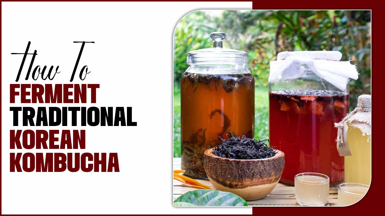 How To Ferment Traditional Korean Kombucha Easy Ways