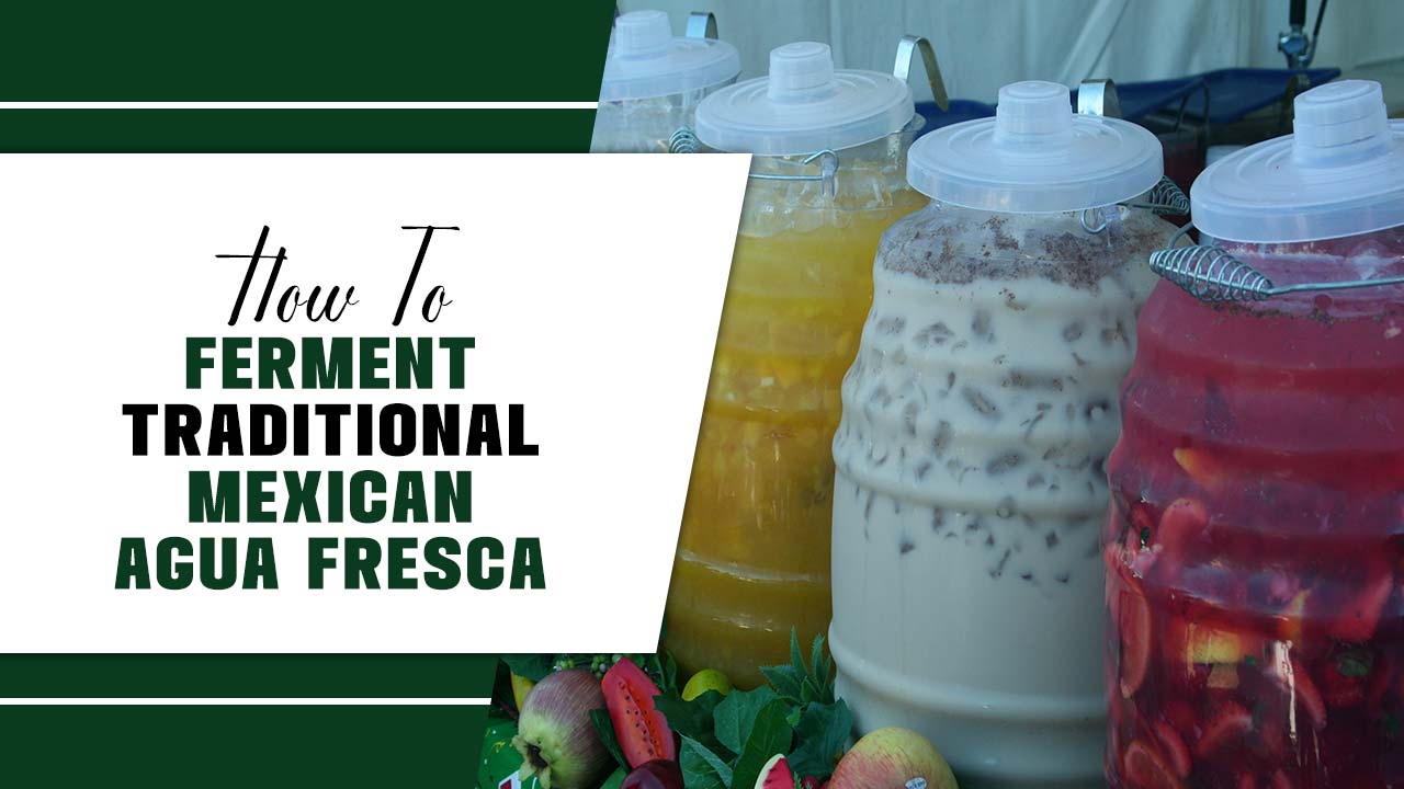 How To Ferment Traditional Mexican Agua Fresca – Explaining In Detail