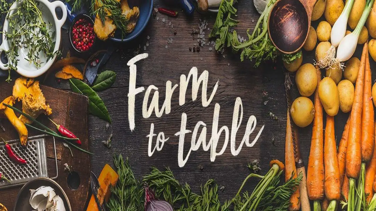 Seasonal Farm-To-Table Recipes - Follow The Below Process
