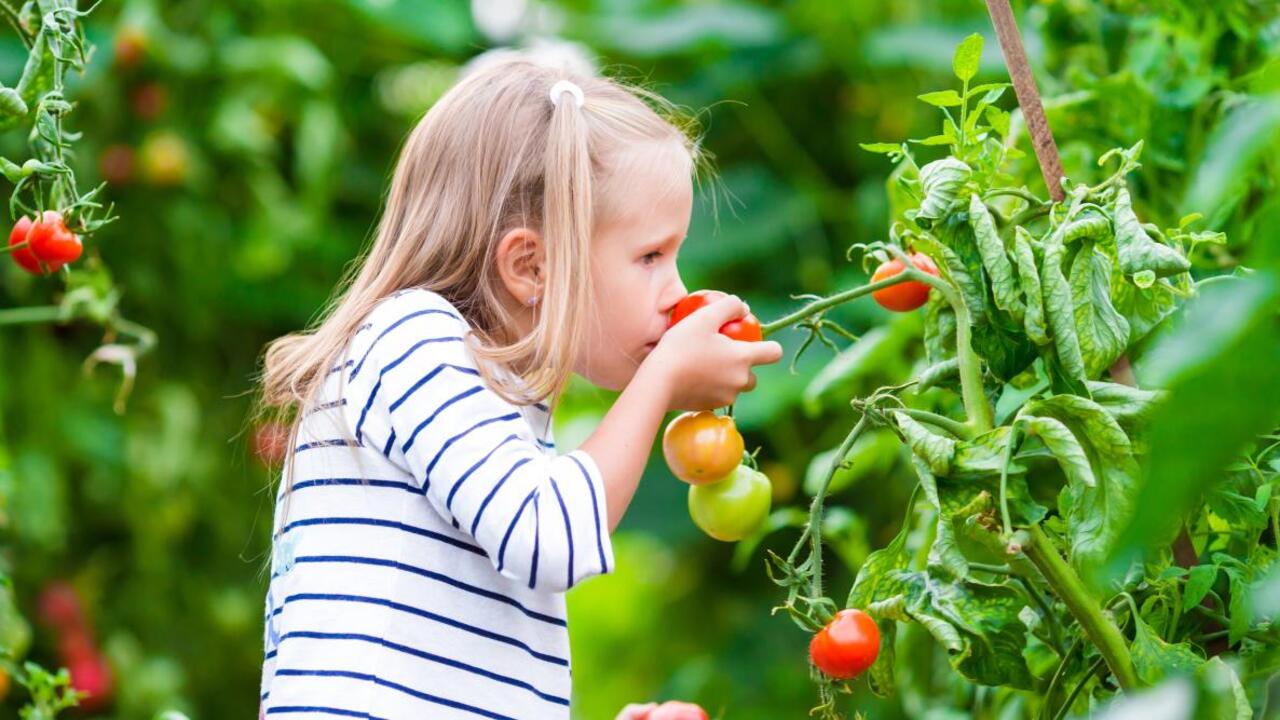 Selecting The Right Vegetables And Herbs For Your Garden