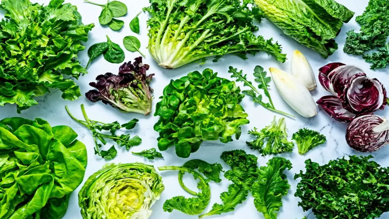 Types Of Lettuce And Greens For Salads