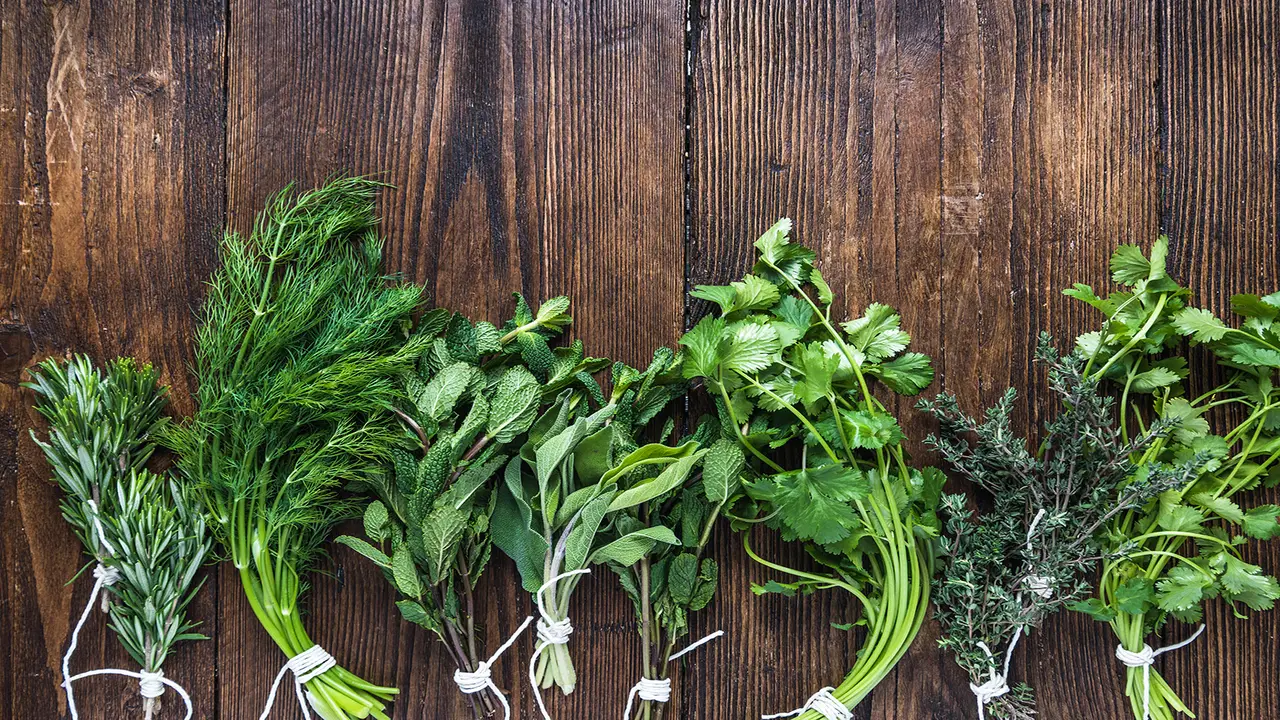 Understanding Flavor Profiles Of Herbs