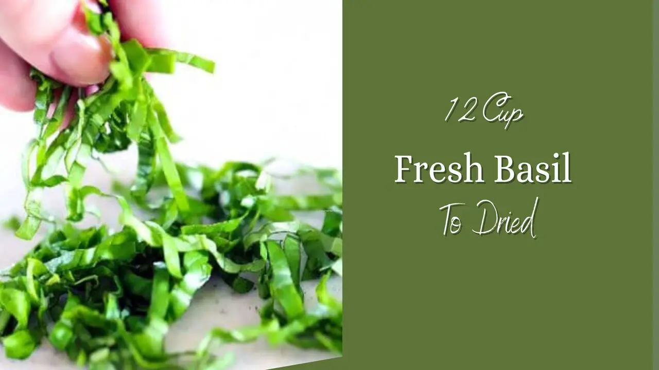 The Perfect Ratio: 1 2 Cup Fresh Basil To Dried Conversion